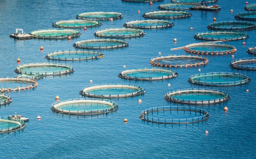 Aquaculture_0.jpg